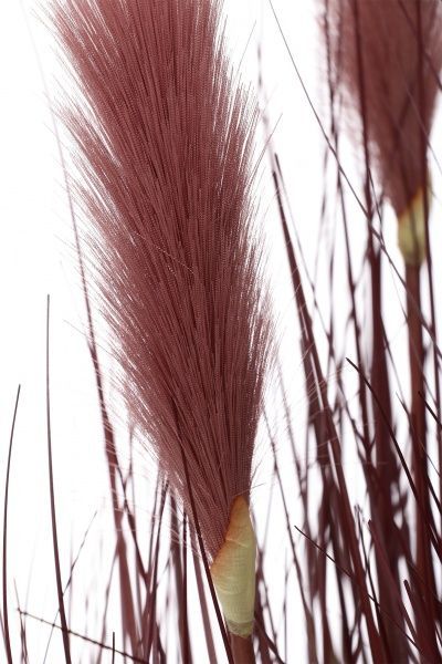 Растение искусственное Камыш A0168 бордо