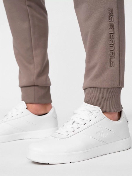 Штани 4F TROUSERS CAS M087 RL9SS22TTROM087-83S р. L бежевий