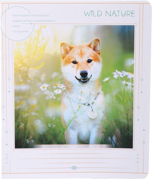 Тетрадь школьная 24 листа в линию УФ-лак в ассортименте