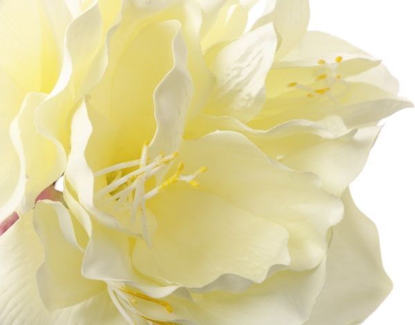 Растение искусственное Амарилис