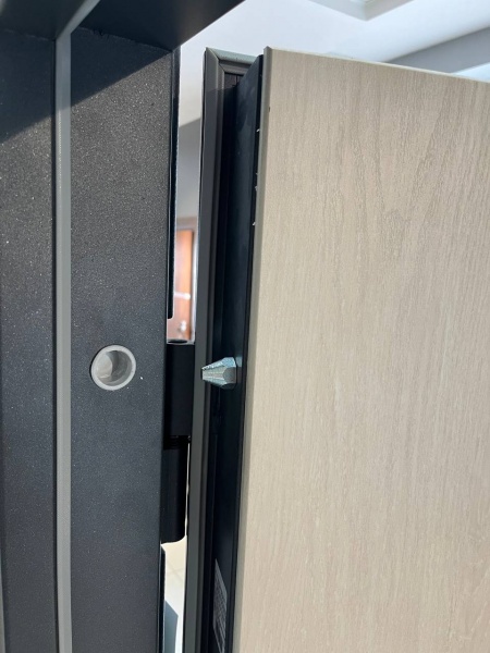 Дверь входная Tarimus Арина графит / дуб немо лате 2050x960 мм левая