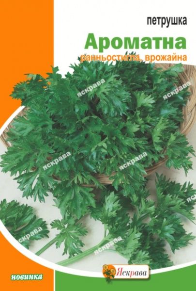 Насіння Яскрава петрушка кучерява Ароматна 20 г (4823069814090)