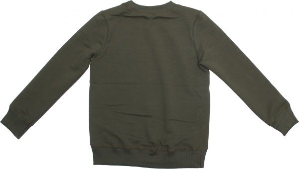 Свитшот Маленькие люди для девочки 13 р.146 оливковый 