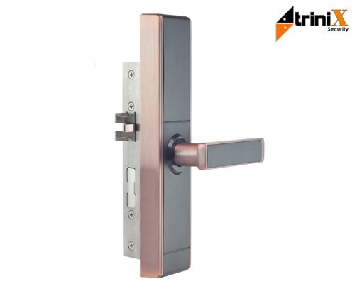 Електрозамок Trinix TRL-5109BTF