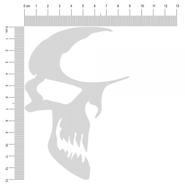 Светоотражающая наклейка Skull