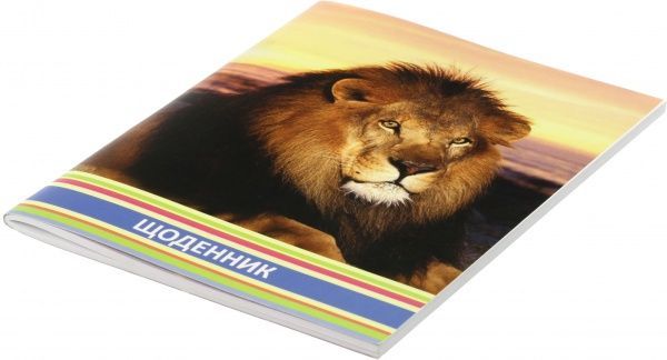 Щоденник шкільний 48 арк. CF29933-01 Cool For School