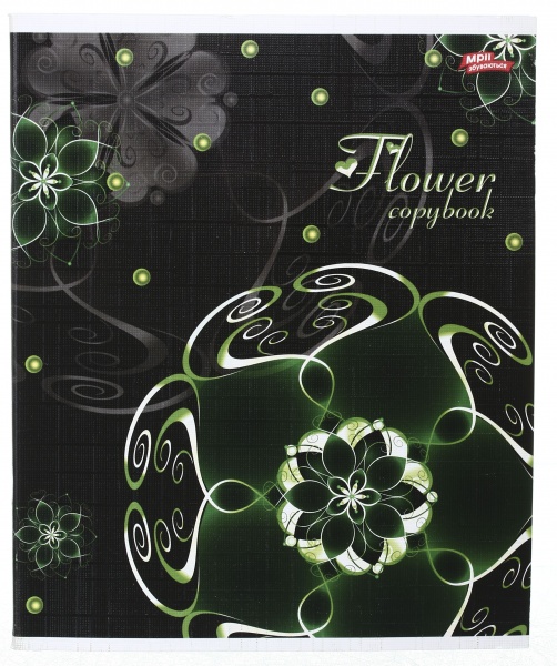 Зошит шкільний 60 аркушів у клітинку в асортименті Мрії збуваються