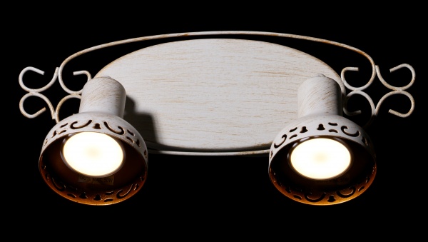 Спот Arte Lamp A5219AP-2WG 2x35 Вт GU10 бело-золотистый Focus 