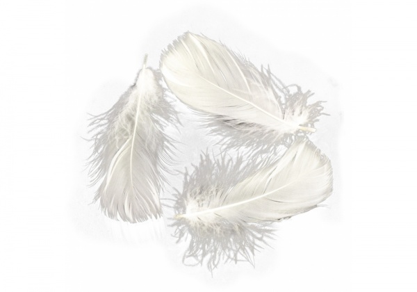 Наполнитель декоративный Maxi 