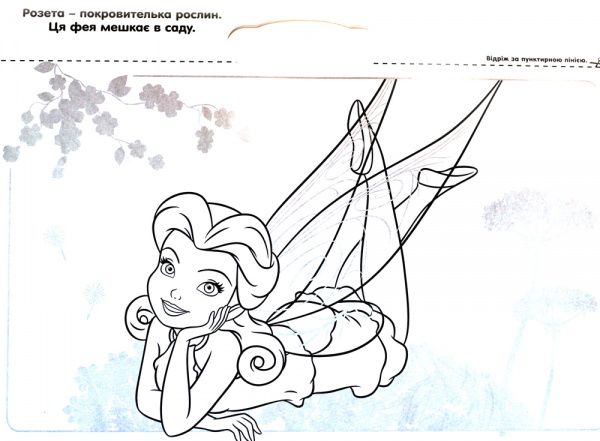 Раскраска «Феї» 978-617-500-929-1