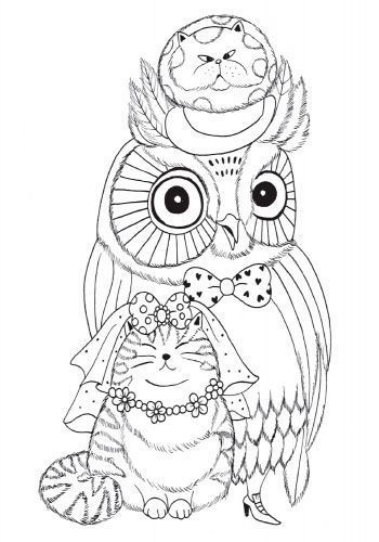 Книга-розмальовка Лулу Майо «Майже мільйон сов» 978-617-757-900-6