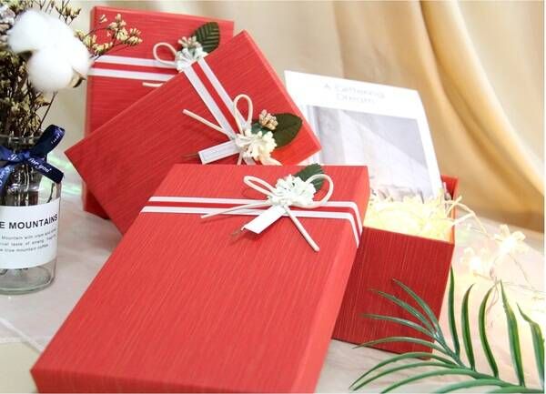 Коробка подарункова UFO 12351-061 21х14х8 см Red