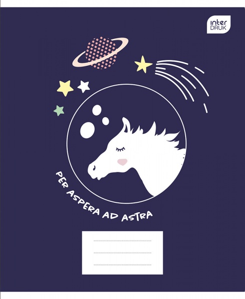 Тетрадь школьная А5 12 в линейку MIX 339430 InterDRUK