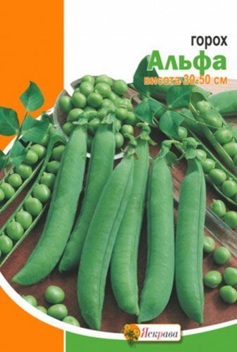 Насіння Яскрава горох овочевий Альфа 50г