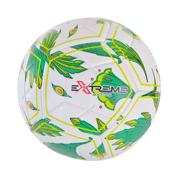 Футбольний м'яч Extreme Motion (2 кольори в асортименті) FB2203 р.5