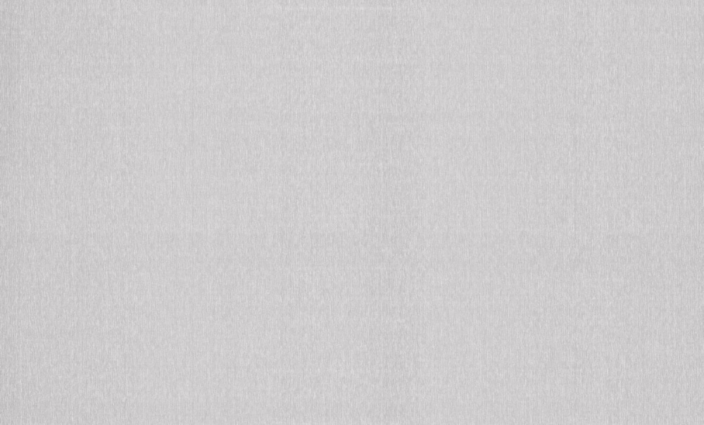 Шпалери вінілові на флізеліновій основі Bravo 81118BR06 1,06x10,05 м