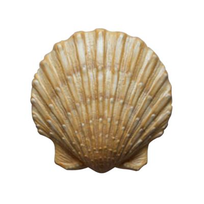 Декор гіпсовий Дарунок моря 6