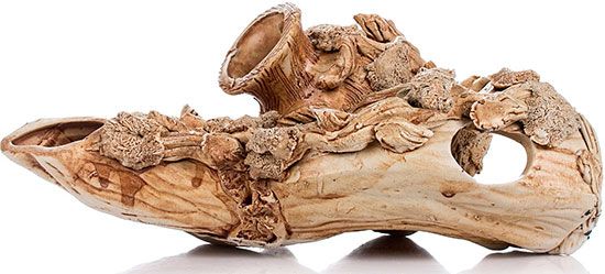 Композиція 15