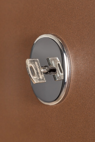 Дверь входная Булат Elegant 703 Metalic Wood - коричневая коричневый 2050x950 мм левая