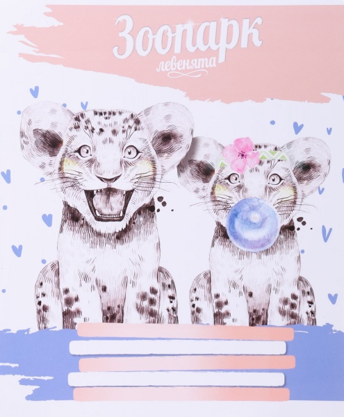 Тетрадь школьная Tadward коса