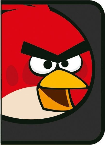 Папка-пенал Angry Birds AB03300 В5 Cool For School