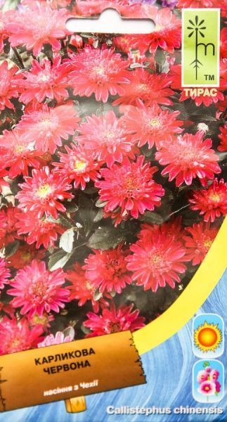 Семена MoravoSeeds астра карликовая карликовая 0,3 г