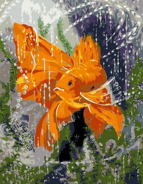 Картина за номерами Золота рибка 35x45 см Rosa Start 