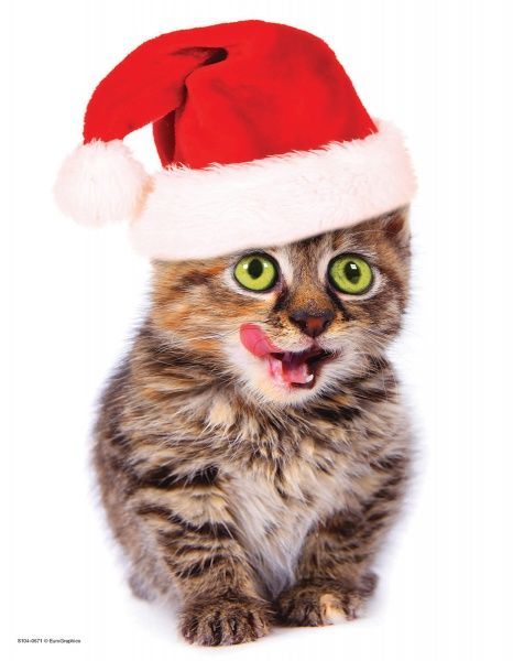 Пазл Eurographics Святкове кошеня 8104-0671