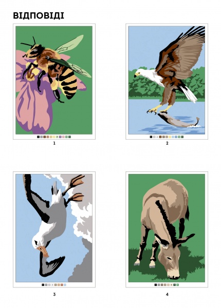 Книга-раскраска «100 магічних фарбованок. Фауна» 978-617-7853-45-8