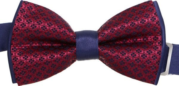 Бабочка LILUS бордовый М-001 