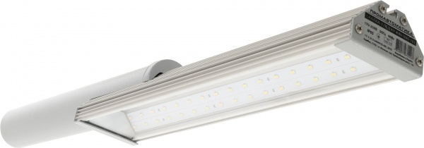 Світильник консольний Промавтоматика СКВ-40-101 Скалка-1 40 Вт сірий 101183 