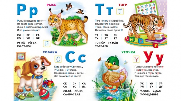 Книга «Моя первая азбука. Азбука животных» 978-966-913-660-2