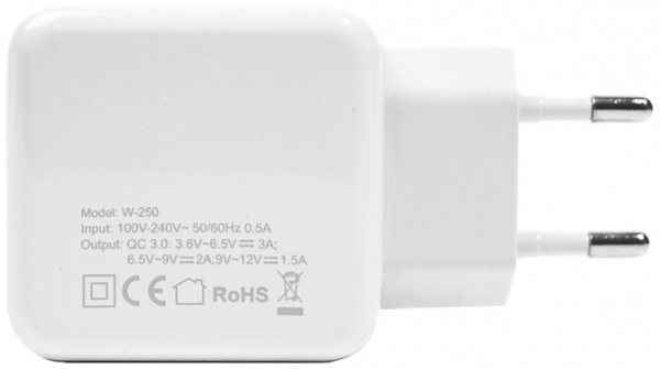 Сетевое зарядное устройство PowerPlant PowerPlant W-250 