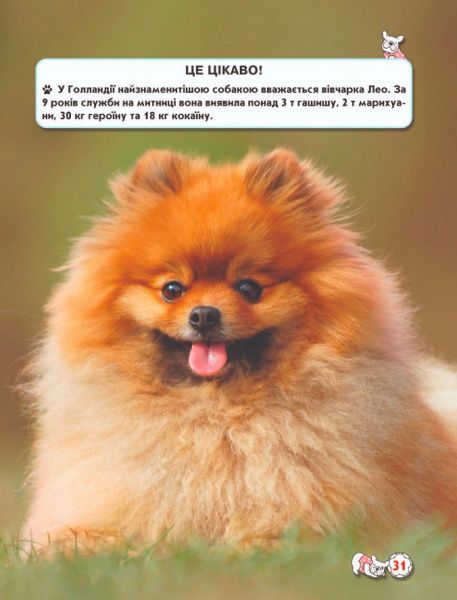 Книга Тамара Протасовицкая «Світ навколо нас. Собаки» 978-966-936-748-8