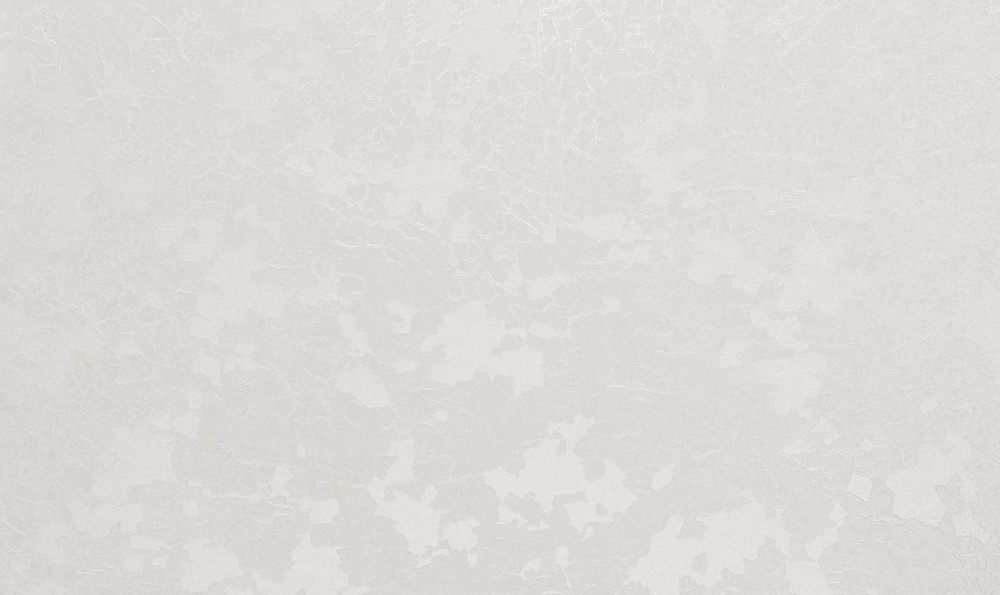 Шпалери вінілові на флізеліновій основі WallCOLOR W 163 C 20 1,06x10,05 м