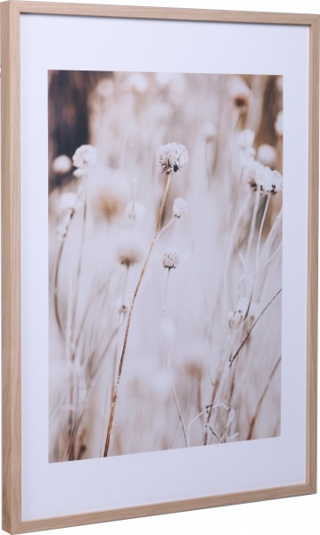 Картина Dry flowers 50x70 см Styler OB-14039 