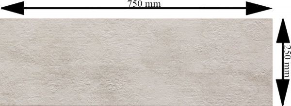 Плитка TAU Ceramica Smeaton Decor Silver 25x75 