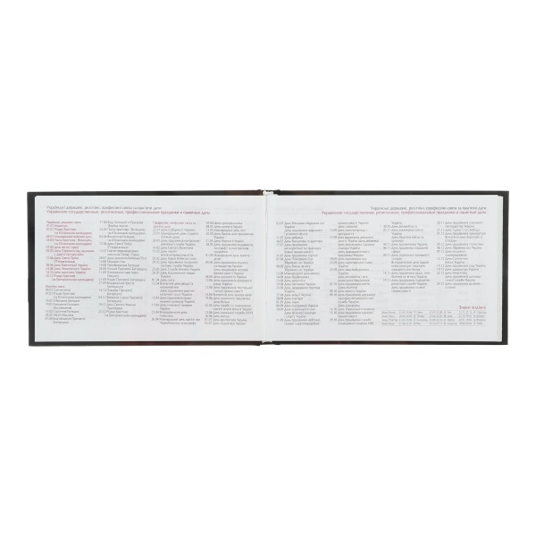 Планінг кишеньковий датований 2022 Linea синій Buromax