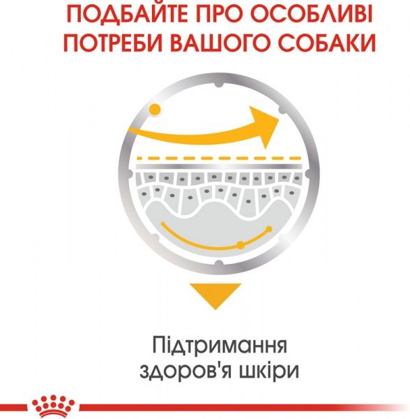 Консерва Royal Canin для собак DERMACOMFORT LOAF (Ол Сайзес Дермакомфорт), пауч, 85 г