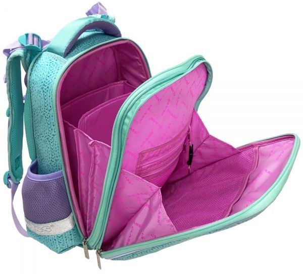 Рюкзак каркасный CLASS SchoolCase Birds 2 отделения 2114C