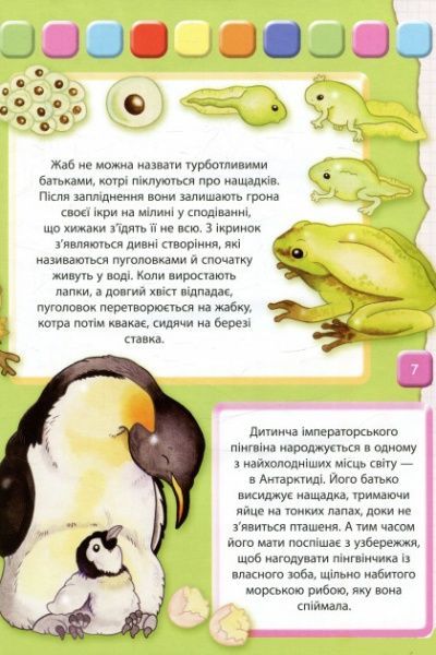 Книга Элеонора Барзотти «Человек: Большая книга для самых маленьких» 978-966-942-323-8