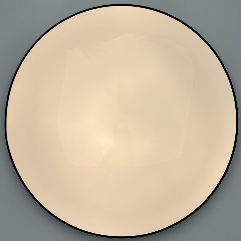 Світильник світлодіодний Sensio 50 Вт білий 3000-6500 К SUNDAY 50W R380 BLACK