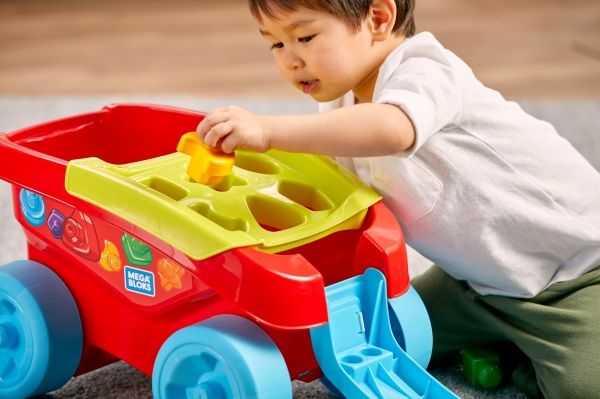 Игрушка-конструктор Mega Bloks Сортируем кубики FVJ47