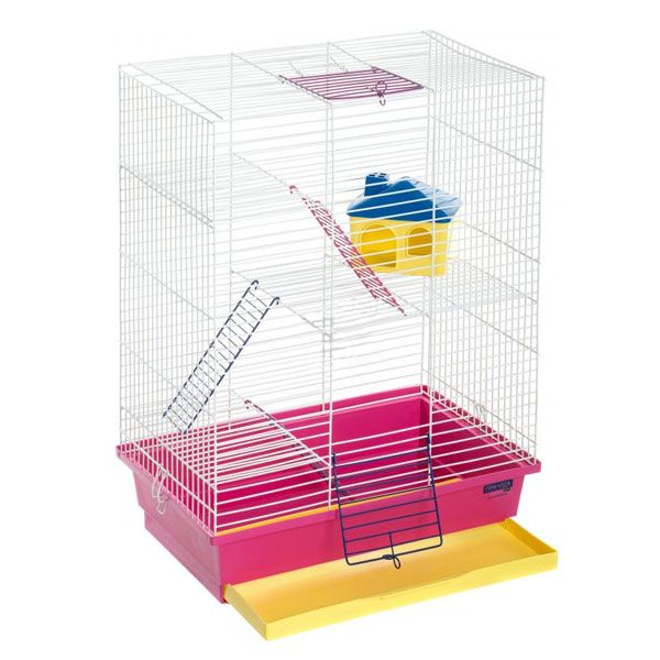 Клетка Природа Нюра