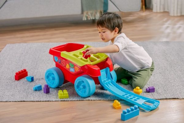 Игрушка-конструктор Mega Bloks Сортируем кубики FVJ47