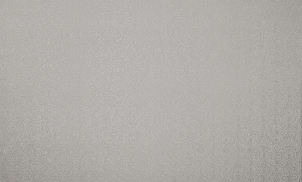 Шпалери вінілові на флізеліновій основі Bravo SIMPLE SP503-06 1,06x10,05 м 