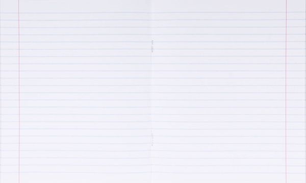 Комплект зошитів 18 аркушів у лінію #ШКОЛА