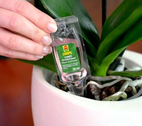 Добриво для орхідей Compo аплікатор 30 мл