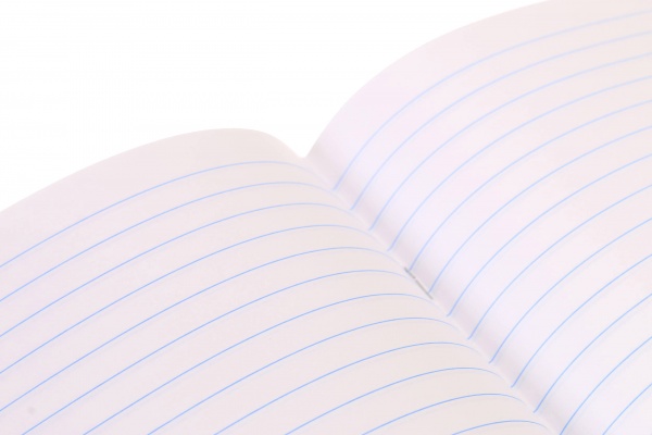 Тетрадь школьная Dino скоба 24 листов в линию Мечты сбываются