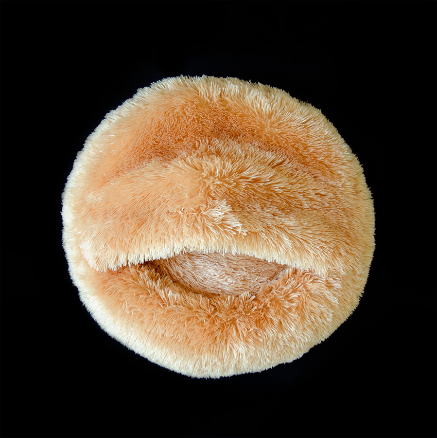 Лежак 10 центів для Джека Яранга 55х35х15 см светло-медовый